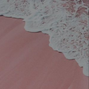 Meet your Posher, Ally